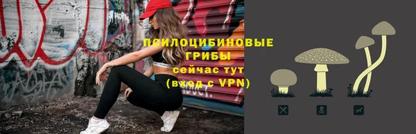 бошки Балахна