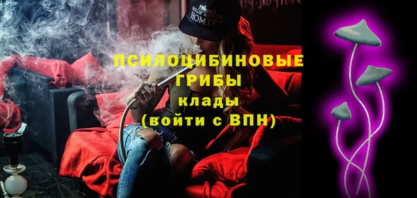 бошки Балахна