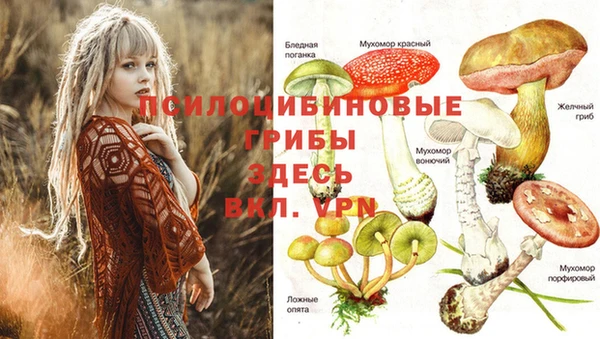 бошки Балахна