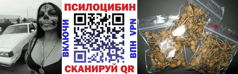 ОМГ ОМГ онион  Куртамыш  Галлюциногенные грибы Psilocybine cubensis 
